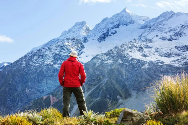 Escursionista Splendide Montagne Vicino Monte Cook Nuova Zelanda Isola Del — Foto Stock