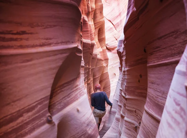 Slot Canyon Nel Grand Staircase Escalante National Park Utah Usa — Foto Stock