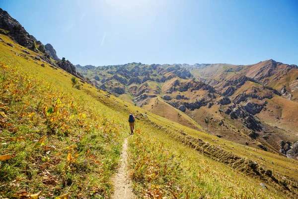 Backpacker Zomer Bergen — Stockfoto