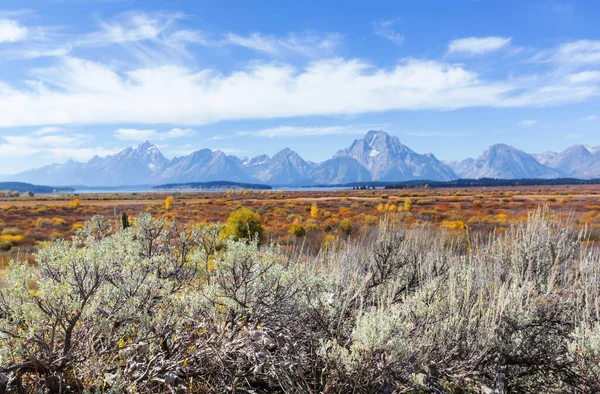 Ljusa Färger För Höstsäsongen Grand Teton National Park Wyoming Usa — Stockfoto