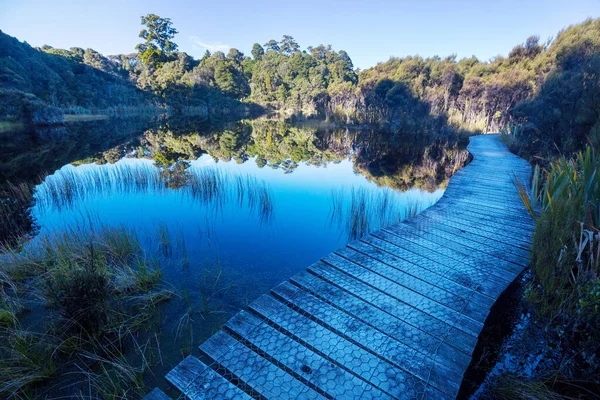 Boardwalk Lake Tropical Forest New Zealand — Stock Photo, Image