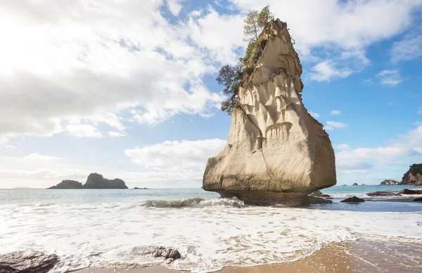 Pareja Turistas Cathedral Cove Península Coromandel Nueva Zelanda —  Fotos de Stock