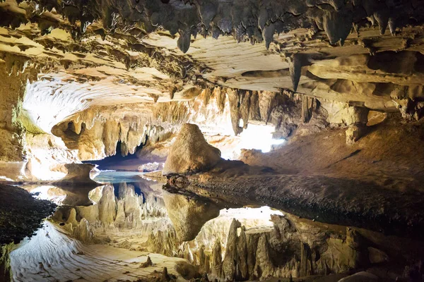 Paysages Grottes Insolites Nouvelle Zélande — Photo