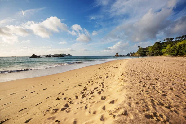 Schöner Sonnenuntergang Ocean Beach Neuseeland Inspirierender Natur Und Reisehintergrund — Stockfoto