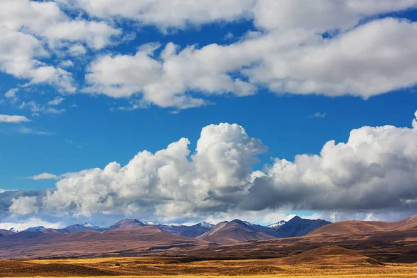 Beaux Paysages Naturels Dans Parc National Mont Cook Île Sud — Photo