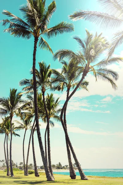 Lindas Paisagens Ilha Oahu Havaí — Fotografia de Stock