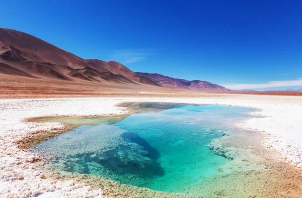 Piscina Água Salgada Salinas Grandes Salt Flat Jujuy Argentina Paisagens — Fotografia de Stock