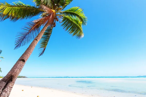 Puesta Sol Serena Playa Tropical —  Fotos de Stock