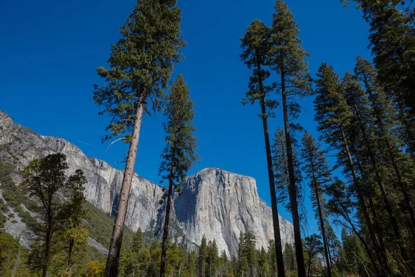 Beaux Paysages Parc National Yosemite Californie — Photo