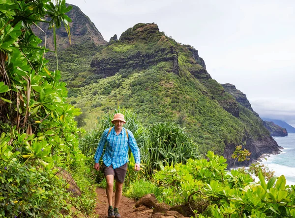 Wandelaar Pad Palmplantage Hawaii Verenigde Staten — Stockfoto