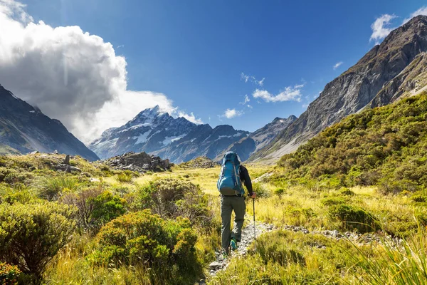 Turysta Pięknych Górach Niedaleko Mount Cook Nowa Zelandia Wyspa Południowa — Zdjęcie stockowe