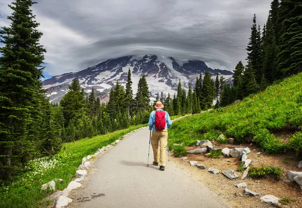 Parque Nacional Monte Rainier Washington —  Fotos de Stock