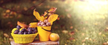 Bahçede sonbahar hasadı