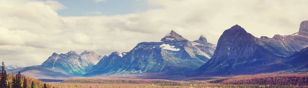 Landschappelijk Uitzicht Athabasca Rivier Jasper National Park Alberta Canada — Stockfoto