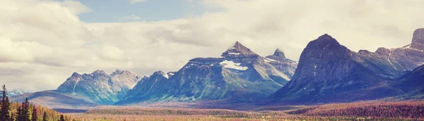 Athabasca Nehri Jasper Ulusal Parkı Alberta Kanada Manzarası — Stok fotoğraf