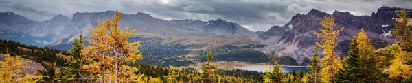 Hermosa Temporada Otoño Las Montañas Canadienses Fondo Caída — Foto de Stock