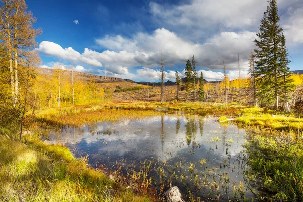 Farbenfroher Gelber Herbst Colorado Usa Herbstsaison — Stockfoto