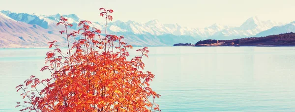 Temporada Outono Nas Montanhas Nova Zelândia — Fotografia de Stock