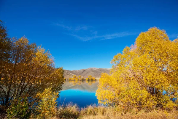 Saison Automne Nouvelle Zélande Montagnes — Photo