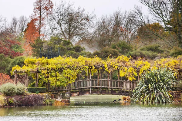 Hermosos Árboles Coloridos Estanque Parque Otoño Nueva Zelanda — Foto de Stock