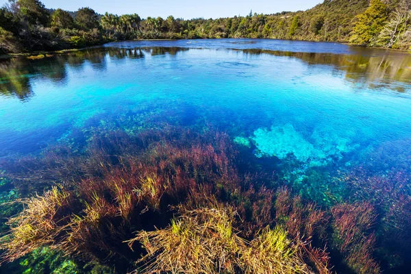 Blue Pool Nowej Zelandii Jasnoniebieska Rzeka Pobliżu Hokitiki Piękne Krajobrazy — Zdjęcie stockowe