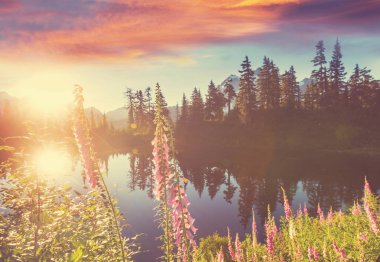 Washington, ABD 'de Shuksan Dağı yansımalı Scenic Picture Gölü