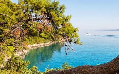 Türkiye 'nin güzel deniz kıyıları. Lycian yürüyüşü boyunca şaşırtıcı doğal manzaralar..