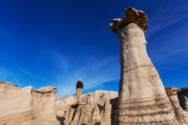 Bisti Çorak Toprakları, De-na-zin vahşi doğası, New Mexico, ABD. Fantastik sıradışı manzaralar.
