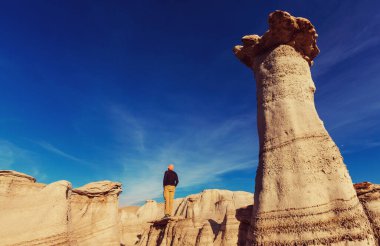 Bisti Çorak Toprakları, De-na-zin vahşi doğası, New Mexico, ABD. Fantastik sıradışı manzaralar.