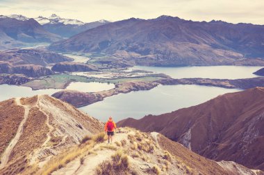 Roys Tepesi 'nde gezgin yürüyüşü. Yeni Zelanda. Wanaka Gölü