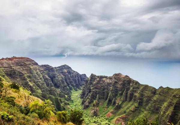 Caminhante Trilha Havaí Eua — Fotografia de Stock