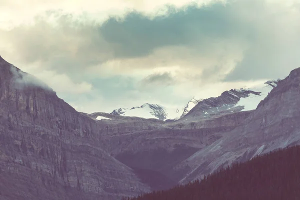 Vue Pittoresque Sur Montagne Dans Les Rocheuses Canadiennes Été — Photo