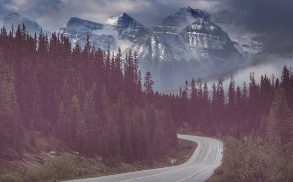 Schilderachtig Uitzicht Bergen Canadese Rockies Het Zomerseizoen — Stockfoto