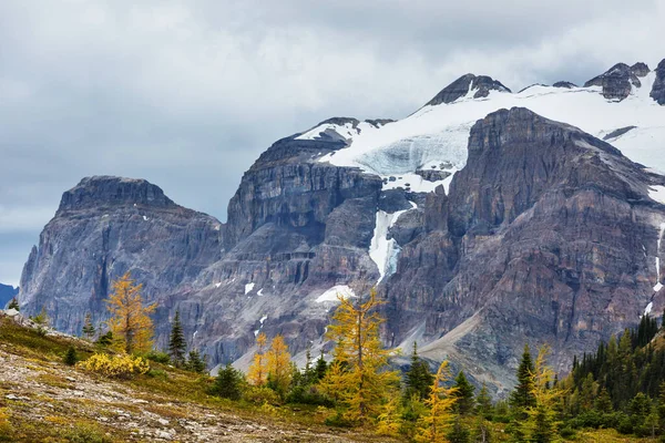 Vista Pitoresca Montanha Nas Montanhas Rochosas Canadenses Temporada Verão — Fotografia de Stock