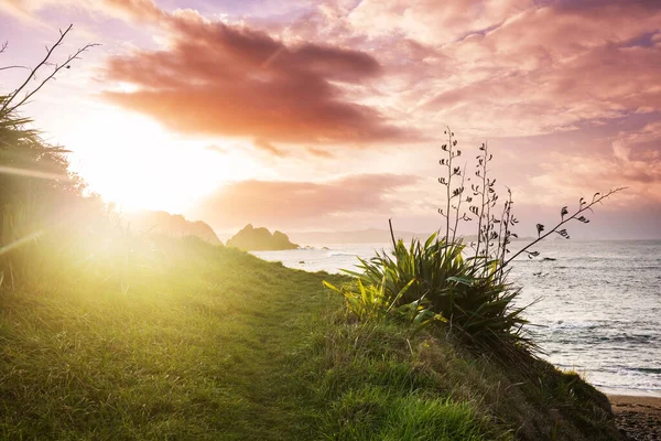 Prachtige Zonsondergang Aan Het Ocean Beach Nieuw Zeeland Inspirerende Natuurlijke — Stockfoto