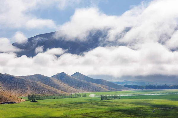 Красивый Сельский Пейзаж Новой Зеландии Зеленые Холмы Деревья — стоковое фото