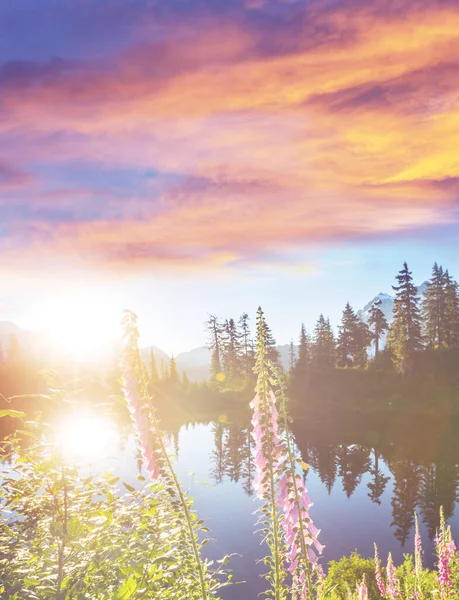 Scenic Picture Lake Mount Shuksan Reflection Washington Usa — Stock Photo, Image