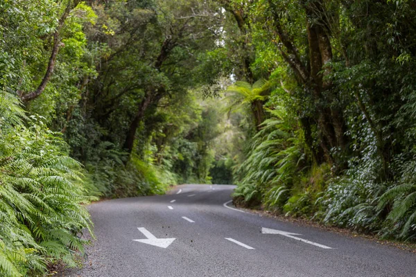 Weg Afgelegen Jungle Nieuw Zeeland — Stockfoto