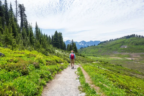 Backpacker Summer Mountains — Stock Photo, Image