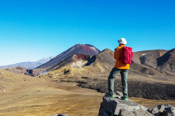 Ongebruikelijke Vulkanische Landschappen Tongariro Crossing Track Tongariro National Park Nieuw — Stockfoto