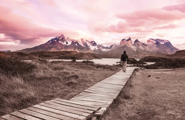 Wunderschöne Berglandschaften Torres Del Paine Nationalpark Chile Weltberühmtes Wandergebiet — Stockfoto