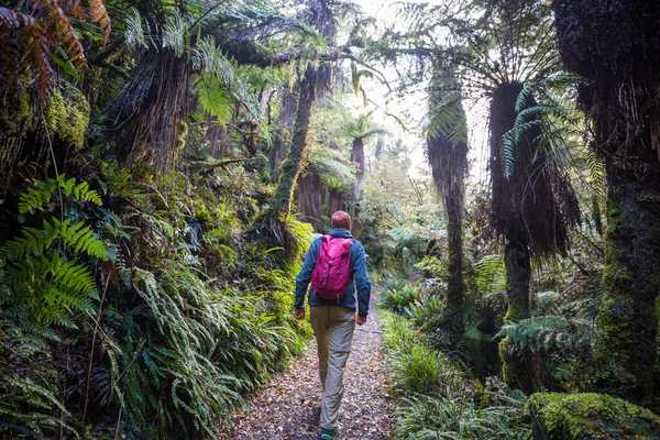 Randonnées Pédestres Tramping Nouvelle Zélande Concept Voyage Aventure — Photo