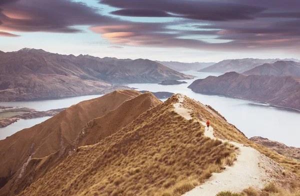 Caminata Viajeros Roys Peak Nueva Zelanda Lago Wanaka — Foto de Stock