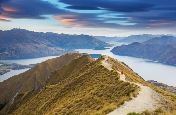 Reizigers Wandelen Roys Peak Nieuw Zeeland Meer Van Wanaka — Stockfoto