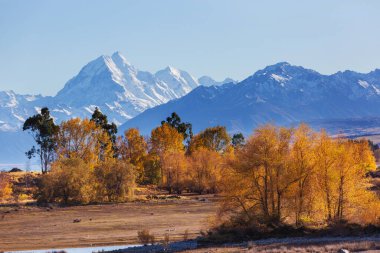 Güz mevsiminin parlak renkleri Grand Teton Ulusal Parkı, Wyoming, ABD