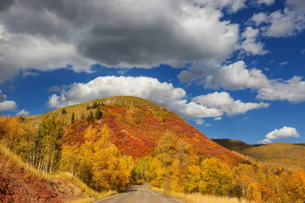Πολύχρωμο Κίτρινο Φθινόπωρο Στο Κολοράντο Ηνωμένες Πολιτείες Φθινοπωρινή — Φωτογραφία Αρχείου