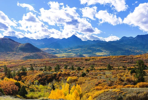 Automne Jaune Coloré Dans Colorado États Unis Saison Automne — Photo