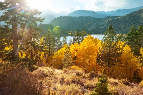 Látványos Kilátás Sierra Nevada Hegyre Őszi Lombozat Táj Kalifornia Egyesült — Stock Fotó