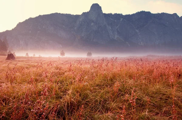 Sunny Autumn Meadow Natural Background — Stock Photo, Image