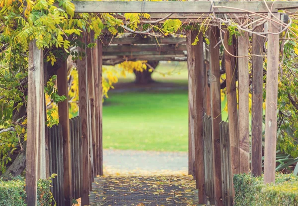 Krásné Barevné Stromy Podzimním Parku — Stock fotografie